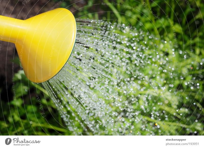 Bewässerung Wasser Gießkanne Dose Ausguss liquide Tropfen rieseln Garten Gartenarbeit Sommer im Freien Außenaufnahme