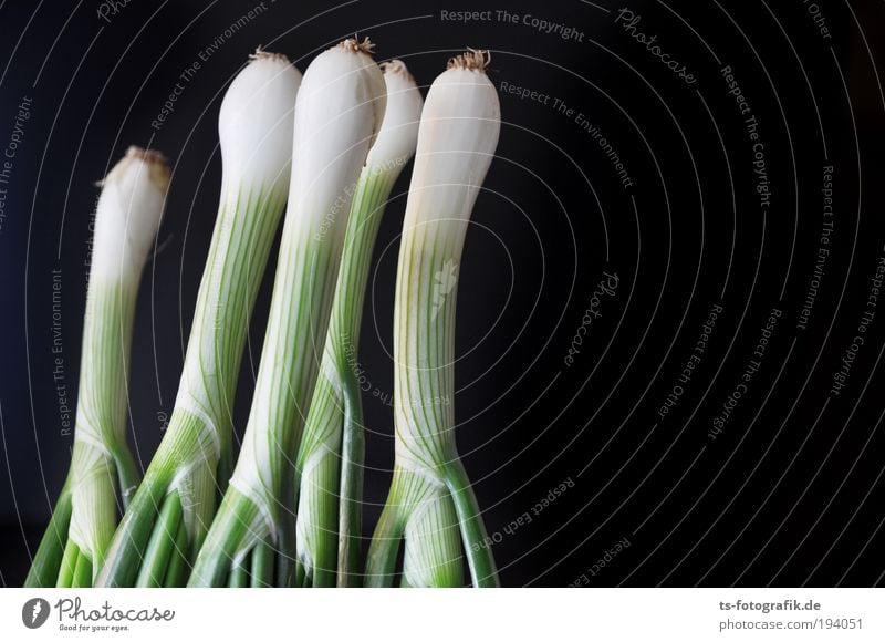 Fünf Freunde Lebensmittel Gemüse Lauchgemüse Lauchstange Wurzel mehrere Ernährung Bioprodukte Vegetarische Ernährung Gesundheit ökologisch Wachstum Pflanze