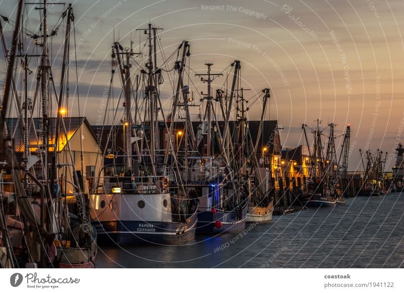 Krabbenkutter in Cuxhaven Fischer Fischereiwirtschaft Wasser Küste Meer Hafenstadt Schifffahrt Fischerboot Arbeit & Erwerbstätigkeit eckig einfach frisch Mut