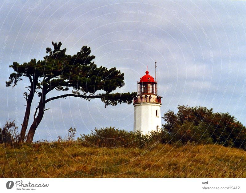 Dornbusch Hiddensee Leuchtturm Baum Gras Hügel grün rot See Schifffahrt Insel blau