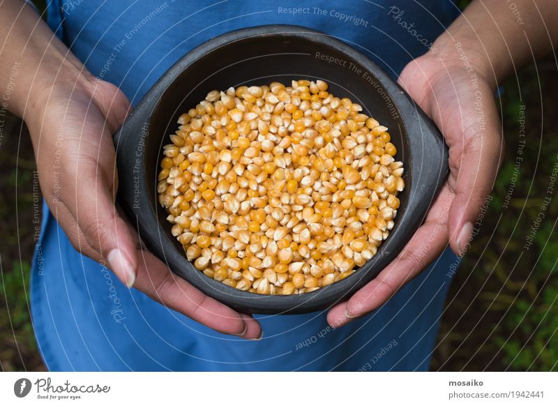 Hände halten eine Schüssel mit Mais Gemüse Ernährung Vegetarische Ernährung Diät Hand Finger Menschengruppe Natur Pflanze natürlich gelb gold Farbe Tradition