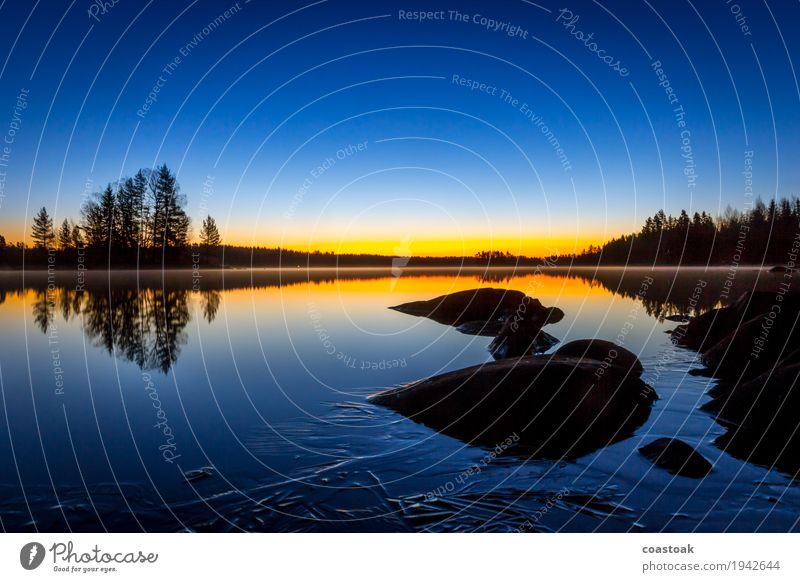 Morgenstimmung am Salajärvi Natur Landschaft Wasser Wolkenloser Himmel Sonnenaufgang Sonnenuntergang Herbst Schönes Wetter Eis Frost Baum Seeufer Finnland