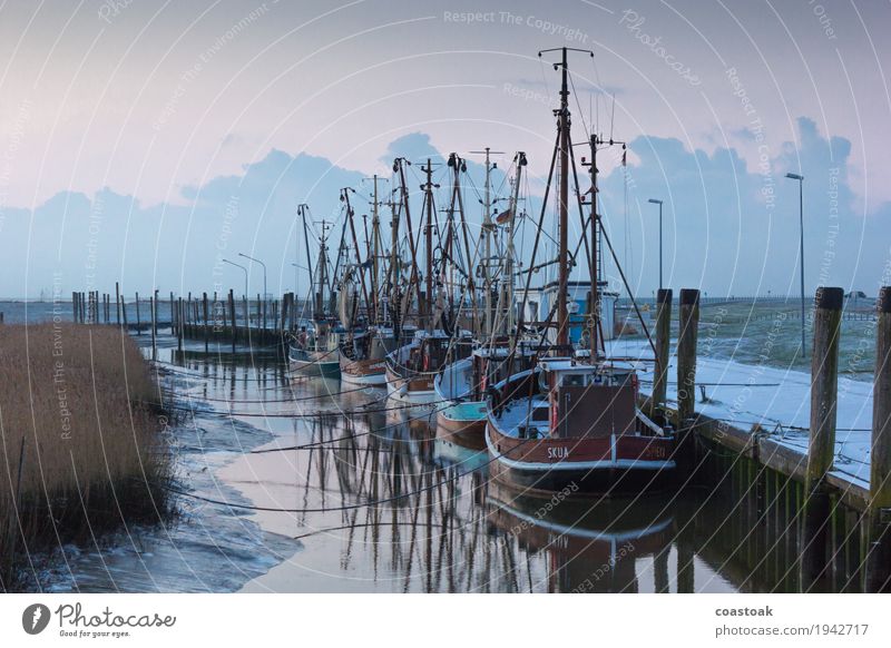 Krabbenkutter in Dorum Fischer Fischereiwirtschaft Wasser Küste Meer Schifffahrt Fischerboot liegen fest blau Sicherheit Geborgenheit Ebbe Seil Anlegestelle