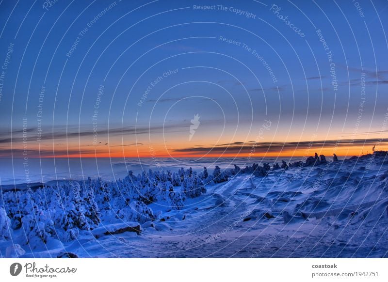 Weg auf den Brocken Natur Landschaft Himmel Wolken Sonnenaufgang Sonnenuntergang Winter Eis Frost Berge u. Gebirge Schneebedeckte Gipfel Wernigerode frisch kalt