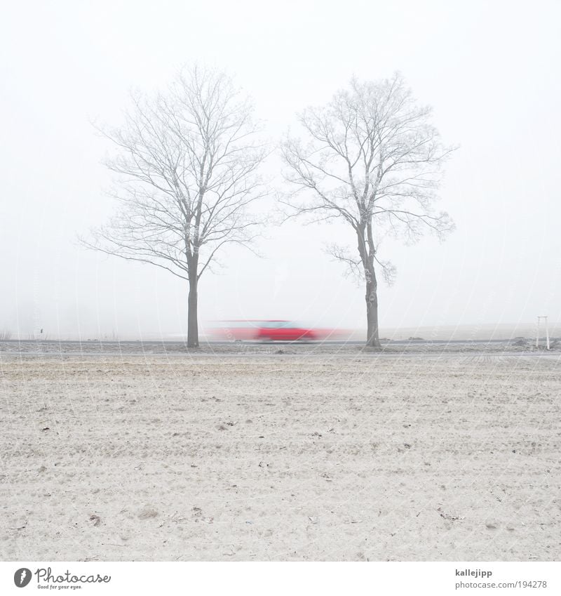 saisonauftakt Umwelt Landschaft Erde Sand Nebel Pflanze Baum Feld Verkehr Verkehrsmittel Verkehrswege Personenverkehr Straßenverkehr Autofahren Wege & Pfade