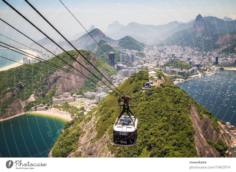 Blick vom Zuckerhut, Rio de Janeiro Landschaft Wasser Himmel Wolkenloser Himmel Sommer Urwald Hügel Felsen Berge u. Gebirge Gipfel Küste Strand Bucht Meer Stadt