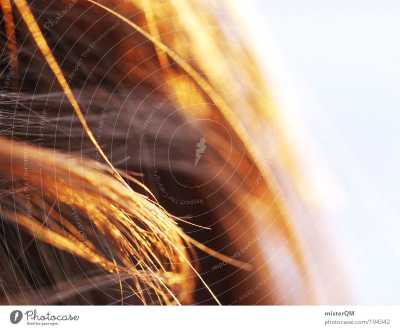 Close. Mensch ästhetisch Duft Einsamkeit Erfahrung Erholung Erwartung Gefühle Kindheit Haare & Frisuren Haare schneiden Locken Haarsträhne Makroaufnahme orange