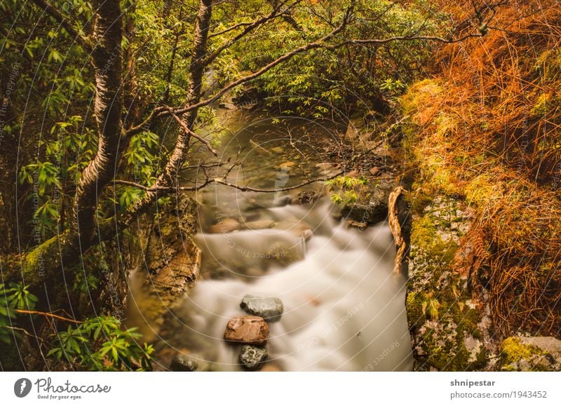 Glen Etive, Highlands, Schottland wandern Umwelt Natur Landschaft Pflanze Wasser Frühling Klima Baum Gras Sträucher Hügel Felsen Berge u. Gebirge Schlucht