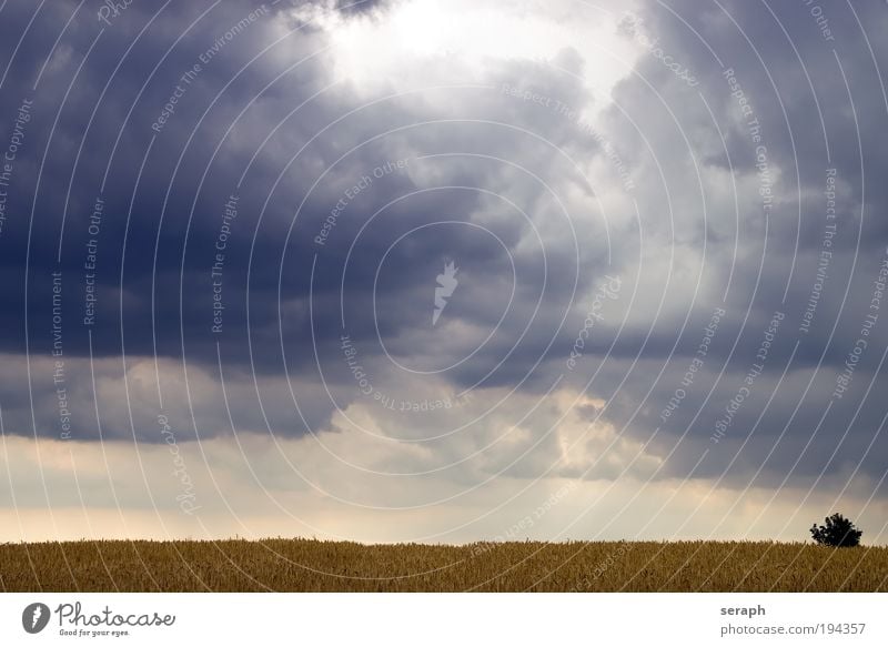 Sturm Hintergrundbild cover windows rural meadow field sky Wolken cloudscape nature landscape Freiraum Freiheit relaxation relaxing agriculture peacefully