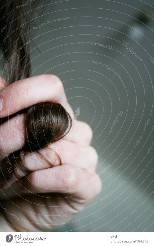 B Haare & Frisuren brünett langhaarig Locken braun Langeweile Hand Frau ästhetisch Haarsträhne Finger Haut mädchenhaft Mädchenhaare zart Nahaufnahme typisch