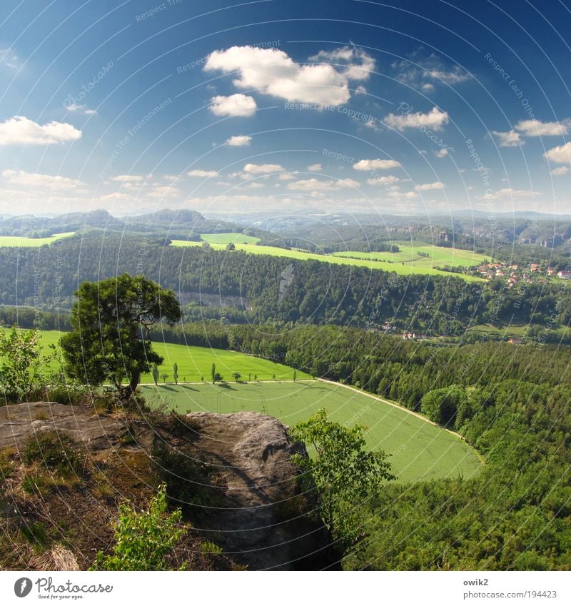 Motivationstraining Ausflug Ferne Freiheit Umwelt Natur Landschaft Pflanze Erde Luft Himmel Wolken Horizont Klima Wetter Schönes Wetter Baum Gras Sträucher