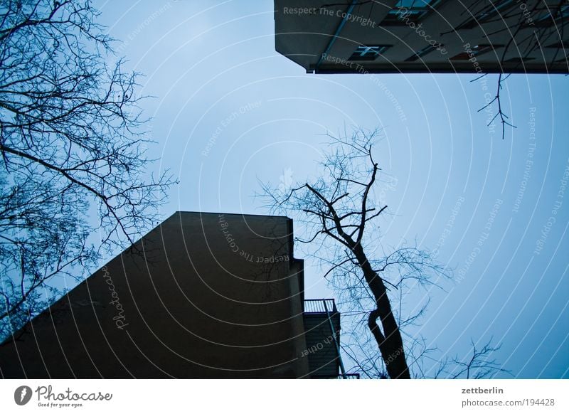 Hinterhof alt Am Rand Berlin blau Herbst Jahreszeiten seitenflügel Haus Gebäude Mauer Brandmauer Mieter Vermieter Baum Ast Zweig Blatt Herbstlaub Schatten