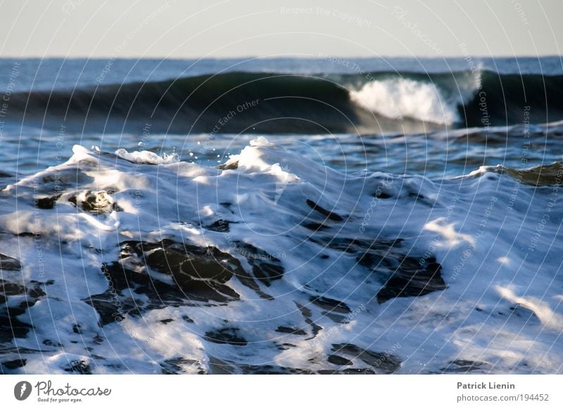 cold hawaii Winterurlaub Umwelt Klimawandel Wind Küste Strand Meer schaukeln Wellen Schaum brechen Sturm weiß Rauschen Wellengang Angst Wasser Kraft bedrohlich