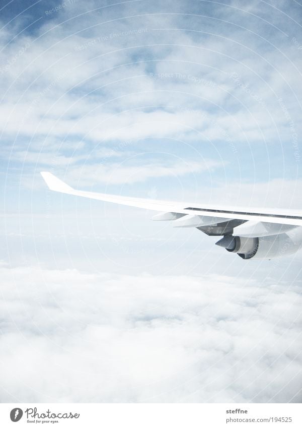 zwischen den Wolken Himmel Schönes Wetter Luftverkehr Flugzeug Passagierflugzeug Flugzeugausblick Ferien & Urlaub & Reisen Tourismus Geschäftsreise Triebwerke