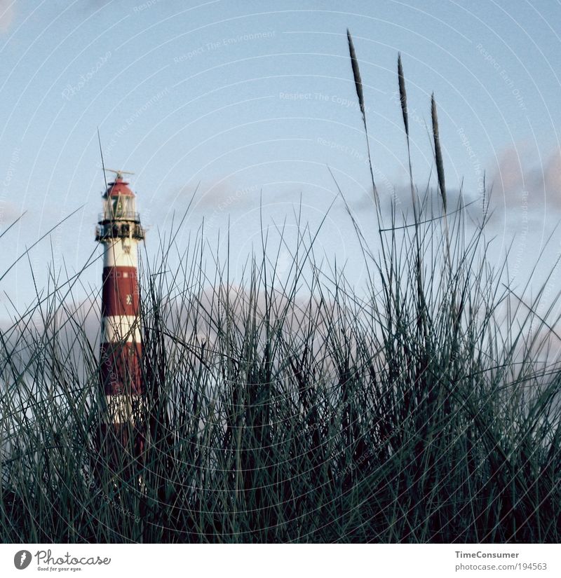 Mein kleiner großer Bruder Ausflug Sightseeing Sommer Sommerurlaub Insel Natur Leuchtturm Sehenswürdigkeit Wahrzeichen Stimmung Zufriedenheit ruhig Fernweh