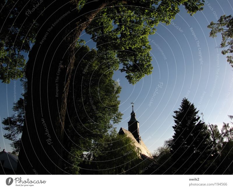 Leuchtturm Wolkenloser Himmel Sommer Klima Wetter Schönes Wetter Baum Liebenau Sachsen Deutschland Europa Kirche Turm Bauwerk Gebäude Architektur heilig