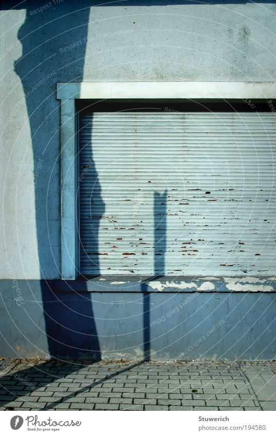 Schattenbild Schönes Wetter Baum Stadt Haus Mauer Wand ästhetisch hässlich blau Farbfoto Außenaufnahme Menschenleer Tag Zentralperspektive Silhouette