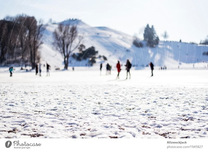 Winterspaziergang Schnee Leben Menschenmenge Wolkenloser Himmel Schönes Wetter weiß Bewegung Gesellschaft (Soziologie) Idylle kalt München Olympiapark