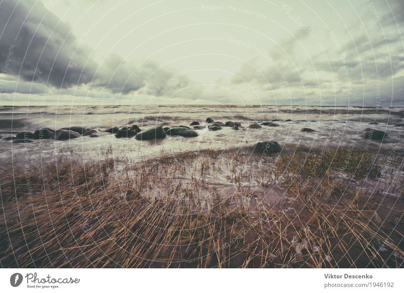 Reed brach unter dem starken Wind am Sandstrand zusammen schön Ferien & Urlaub & Reisen Strand Meer Natur Landschaft Himmel Wolken Horizont Klima Wetter