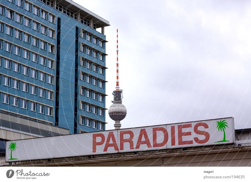 Wer den Himmel nicht kennt... Berlin Berliner Fernsehturm Berlin-Mitte Alex Deutschland Stadtzentrum Menschenleer Haus Hochhaus Gebäude Architektur Bezirksamt