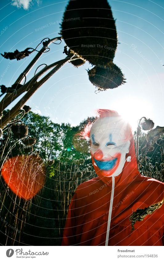 sonnenblume Mensch bedrohlich gruselig rebellisch selbstbewußt Coolness Respekt dumm Halloween sprechen männlich Natur frech hässlich lustig verrückt trashig