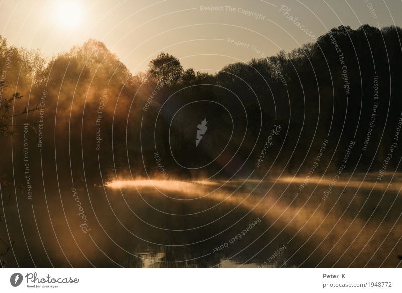 Nebel über den Wassern Umwelt Natur Landschaft Sonne Sonnenaufgang Sonnenuntergang Sonnenlicht Frühling Schönes Wetter Baum See Gefühle Stimmung Zufriedenheit