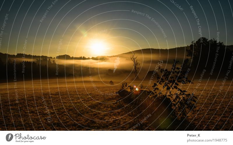 Sonnenaufgang auf der Schwäbischen Alb Reiten Ferien & Urlaub & Reisen Tourismus Ausflug wandern Umwelt Natur Landschaft Pflanze Himmel Wolkenloser Himmel