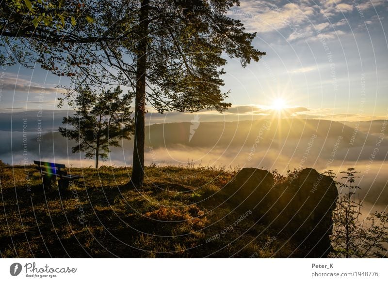 Sonnenaufgang am Albtrauf Wohlgefühl Zufriedenheit Erholung ruhig Meditation Tourismus Ausflug Freiheit Umwelt Natur Landschaft Pflanze Himmel Wolken