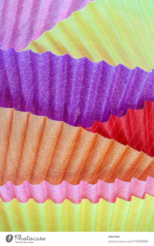 bunte Makroaufnahme von Muffinförmchen Papier gelb violett orange rosa rot Farbe mehrfarbig Wellenform Studioaufnahme Nahaufnahme Detailaufnahme