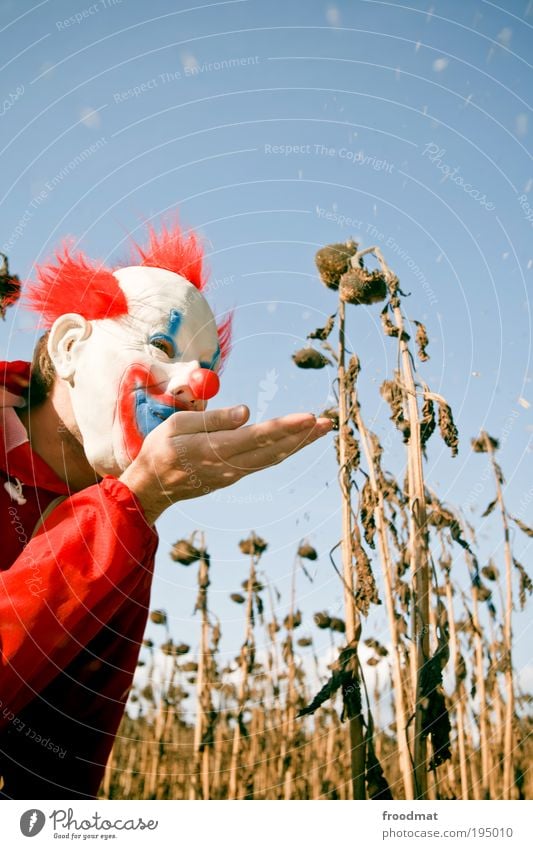 blowing in the wind Mensch maskulin träumen gruselig trashig verrückt Freude Zukunftsangst gefährlich verschwenden bizarr Energie entdecken skurril Alptraum