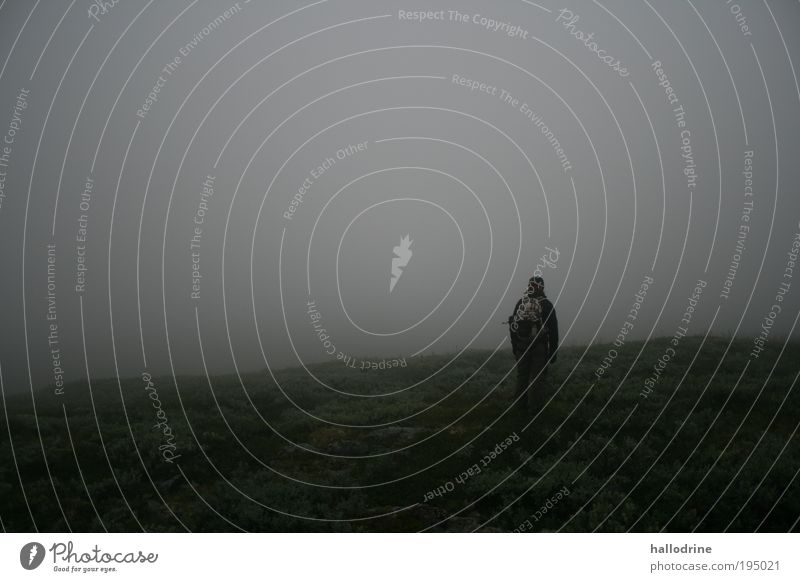 Hier ist Norden Landschaft schlechtes Wetter Nebel Moor Sumpf Einsamkeit Farbfoto Gedeckte Farben Außenaufnahme Textfreiraum oben Rückansicht