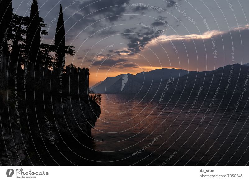 Mystischer Sonnenuntergang Landschaft Wasser Himmel Wolken Sonnenaufgang Sommer Herbst Schönes Wetter Baum Felsen Berge u. Gebirge Seeufer Bucht Meer Gardasee