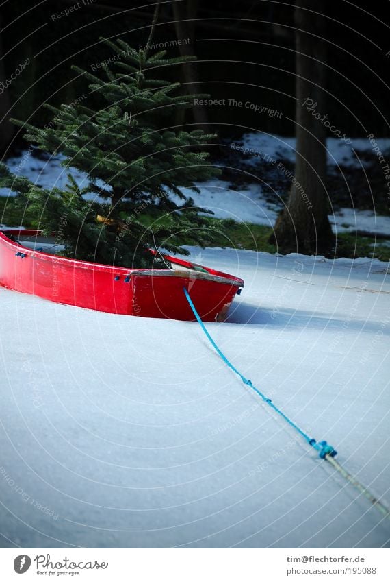 Arche des Klimawandels Baum Wasserfahrzeug Seil Holz außergewöhnlich Coolness einzigartig lustig blau grün rot weiß Einsamkeit elegant Farbe Überraschung