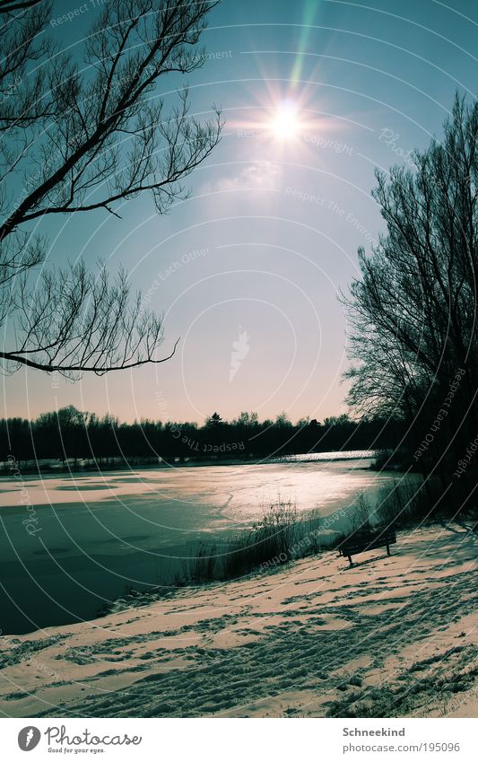 Winter Wonderland harmonisch Zufriedenheit ruhig Umwelt Natur Landschaft Wasser Himmel Baum Sträucher Grünpflanze Seeufer ästhetisch Gegenlicht Bank schön