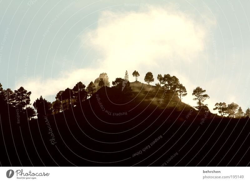 licht und schatten Ferien & Urlaub & Reisen Tourismus Ferne Freiheit Natur Landschaft Himmel Wolken Klimawandel Schönes Wetter Nebel Hügel Berge u. Gebirge