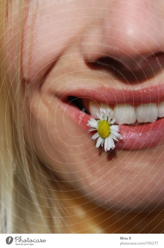 Lach mich an ! schön Wellness Zufriedenheit Sommer Sommerurlaub Sonne Sonnenbad Mensch Junge Frau Jugendliche Gesicht Mund Zähne 1 Schönes Wetter Blume Wiese