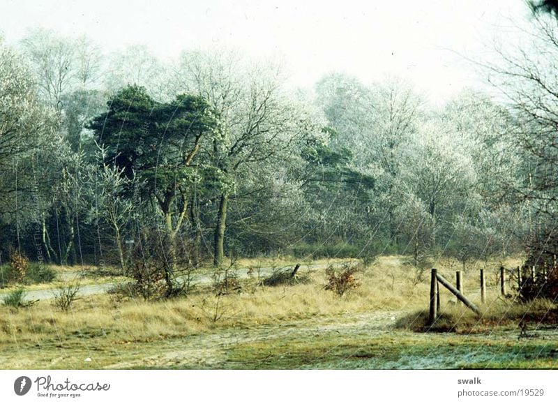 Frost Wald Weitwinkel Winter Berge u. Gebirge