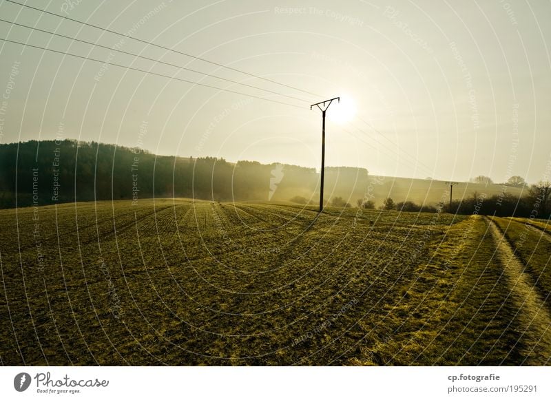 ein neuer Tag Umwelt Natur Landschaft Pflanze Himmel Sonne Sonnenlicht Frühling Schönes Wetter Nebel Baum Feld Wiese Wald Glück Unendlichkeit schön Wärme