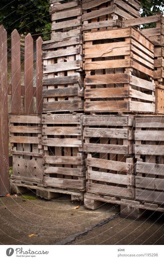 hochstapler Industrie Handel Güterverkehr & Logistik Kasten Obstkiste Holz alt eckig retro trashig braun Genauigkeit Zufriedenheit Ordnung Farbfoto