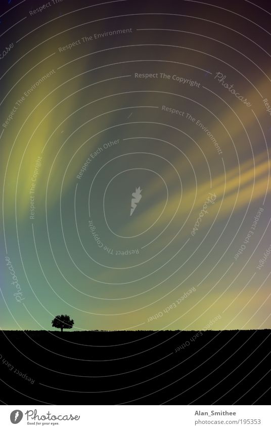 lichter der stadt Umwelt Natur Landschaft Himmel Nachthimmel Baum Stadtrand schwarz Lichterscheinung Beleuchtung mehrfarbig Wolken Farbfoto Außenaufnahme