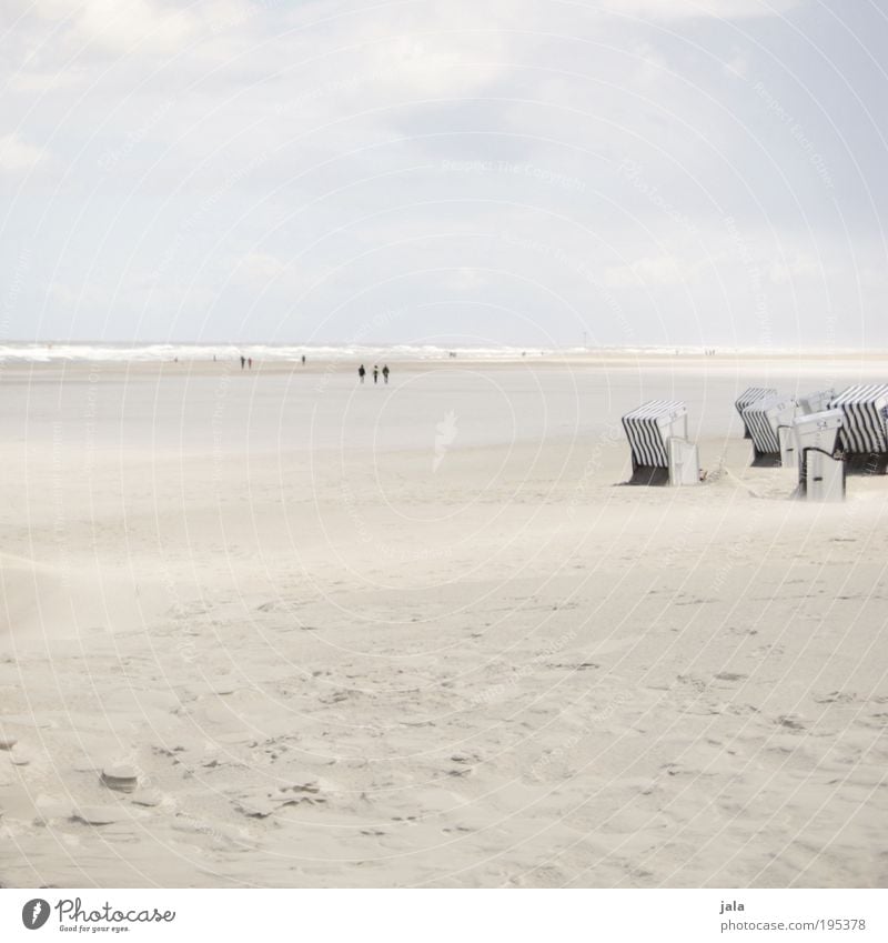 Watt und Wind Natur Landschaft Wasser Himmel Sommer Küste Strand Nordsee Meer Insel Erholung genießen frei hell Zufriedenheit Lebensfreude Optimismus Kraft