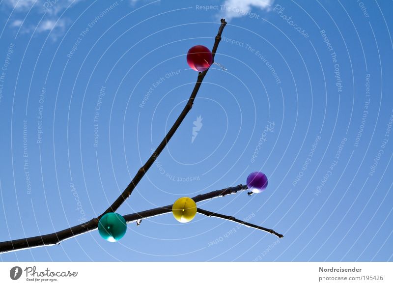 Eier von unten Lifestyle Freude harmonisch Feste & Feiern Ostern Natur Himmel Frühling Schönes Wetter Pflanze Baum Garten Zeichen beobachten hängen Wachstum