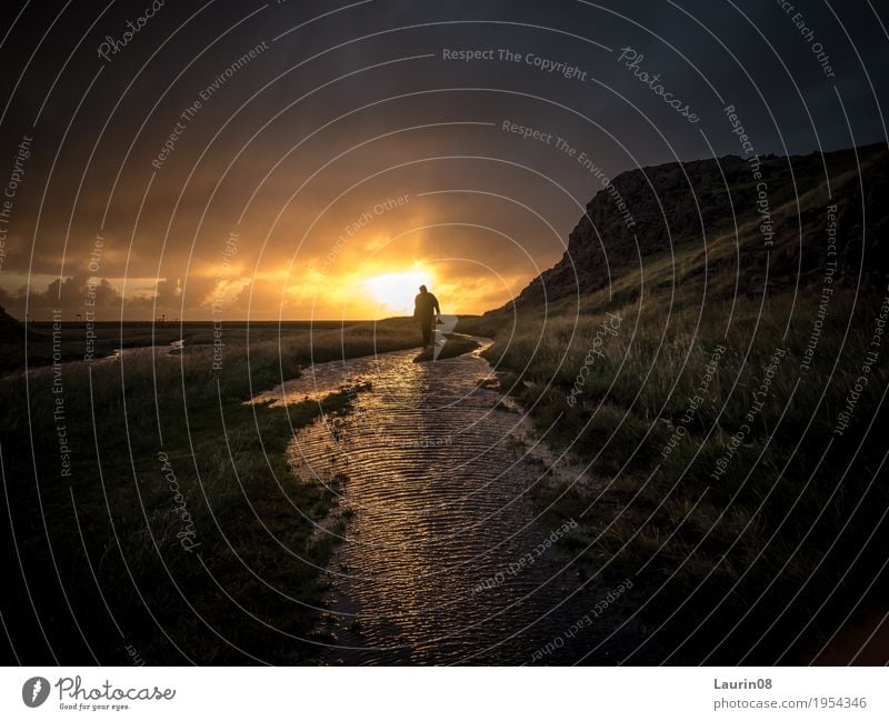 Hiker in the sunset Ausflug Abenteuer Ferne Freiheit Sonne Berge u. Gebirge wandern maskulin Mann Erwachsene 1 Mensch 30-45 Jahre Natur Landschaft Sonnenaufgang