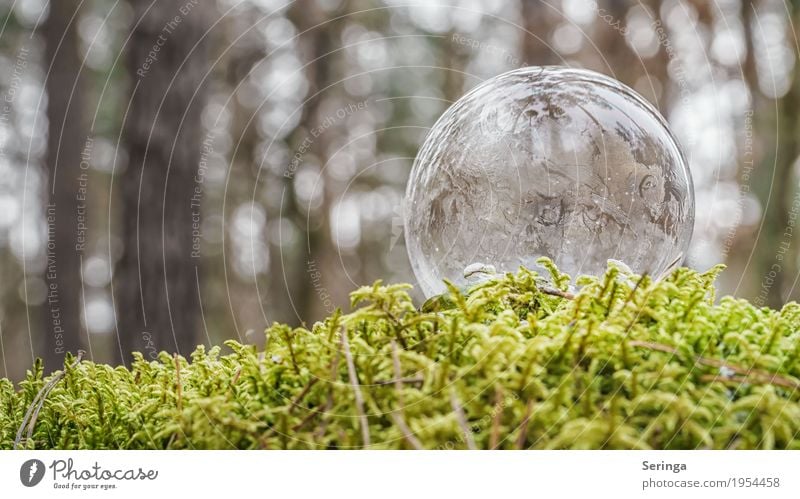 Dünnhäutig Natur Wasser Winter Eis Frost Schnee Kugel ästhetisch Seifenblase gefroren frieren liegen außergewöhnlich schön einzigartig kalt grau weiß