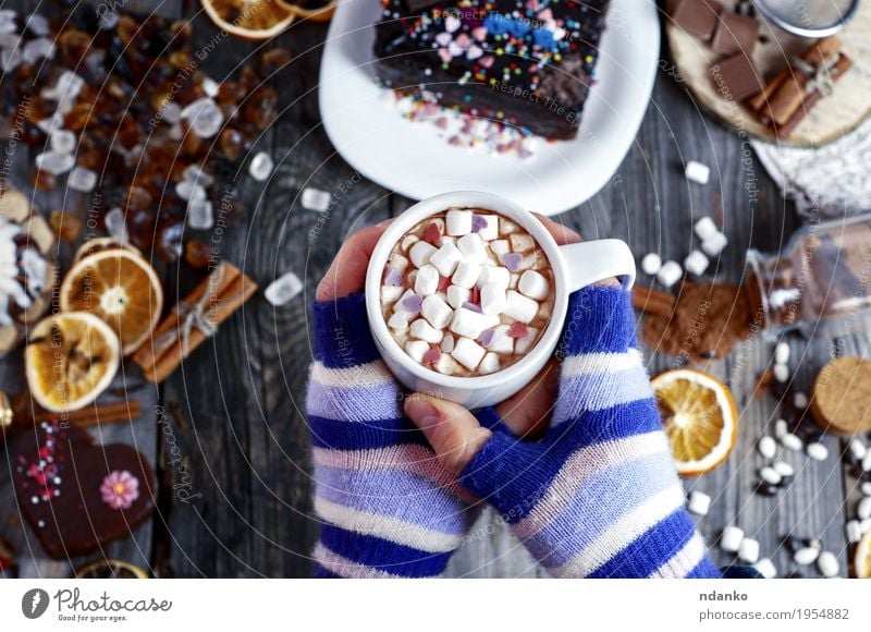 Tasse heißen Kakao in weiblichen Händen Frucht Dessert Kräuter & Gewürze Kaffeetrinken Getränk Becher Winter Tisch Junge Frau Jugendliche Körper Arme Hand 1