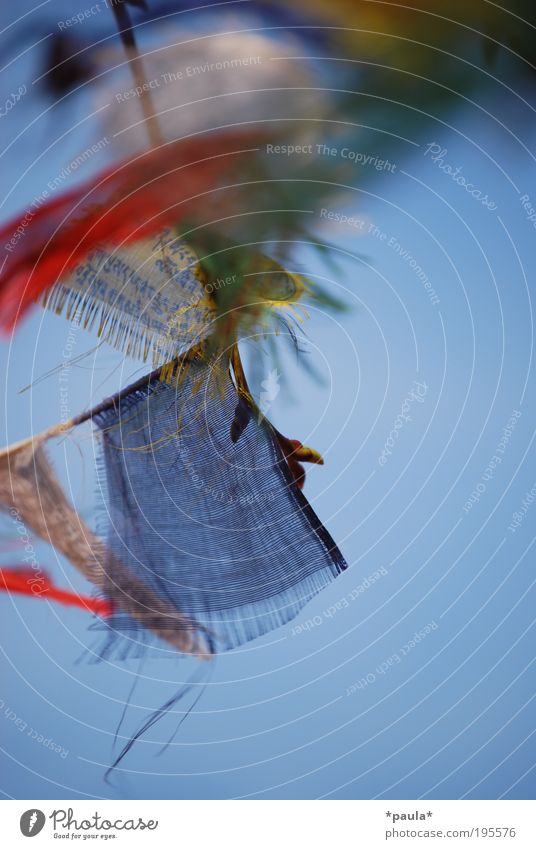 Fahnengeflatter Sommer Wolkenloser Himmel Wind Schriftzeichen Bewegung fliegen hängen träumen frisch Unendlichkeit weich blau gelb rot Glück Lebensfreude