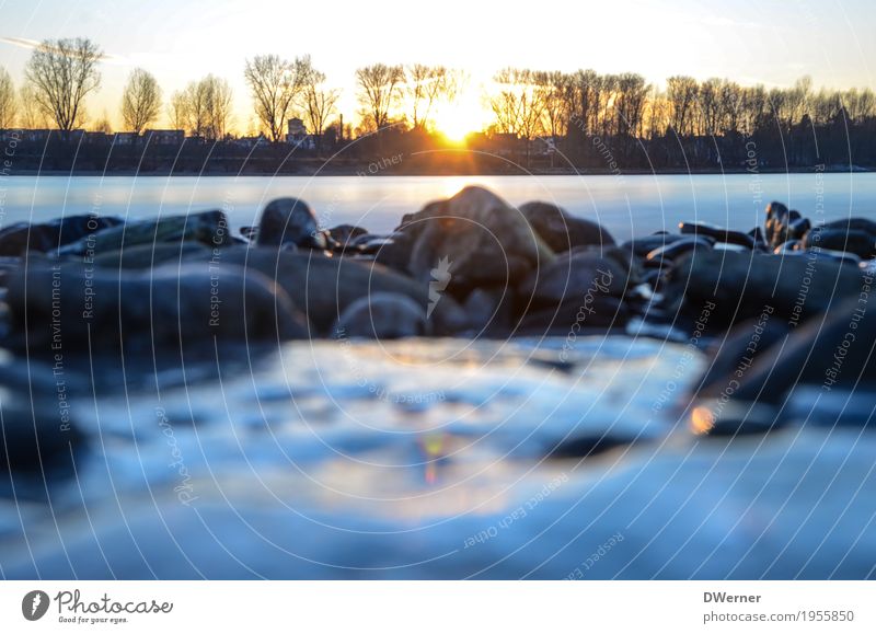 Vater Rhein Umwelt Natur Landschaft Wasser Wetter Eis Frost Flussufer dunkel kalt nass blau weiß ruhig Traurigkeit Angst Hoffnung Horizont Stein Farbfoto