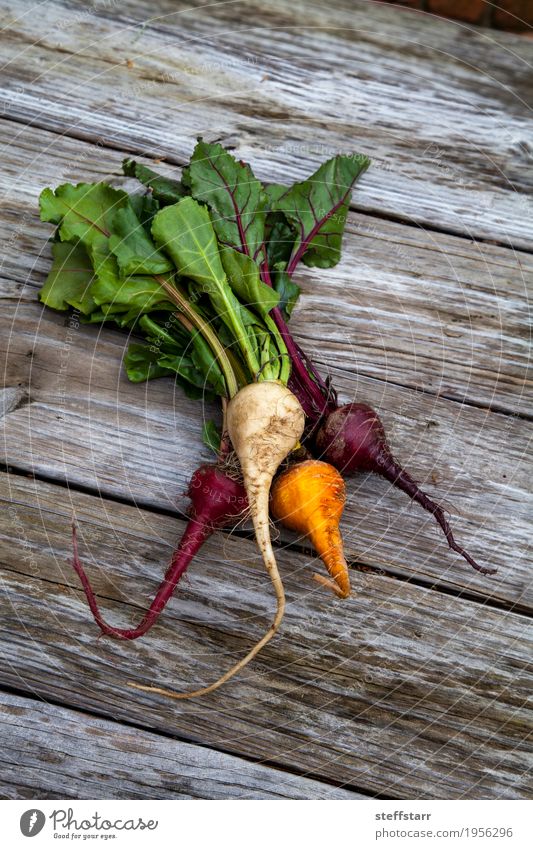 Rote, orange und gelbe rote Rüben Lebensmittel Gemüse Ernährung Essen Bioprodukte Vegetarische Ernährung Gesundheit Gesunde Ernährung Tisch Pflanze Nutzpflanze