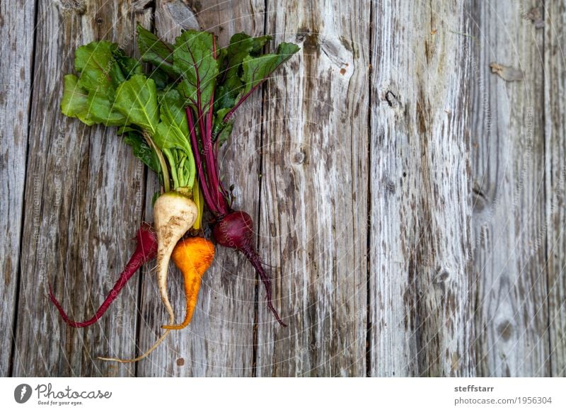 Rote, orange und gelbe rote Rüben Gemüse Ernährung Tisch Natur Pflanze Nutzpflanze natürlich braun grün Rote Beete Bauernhof organisch produzieren Ackerbau Holz