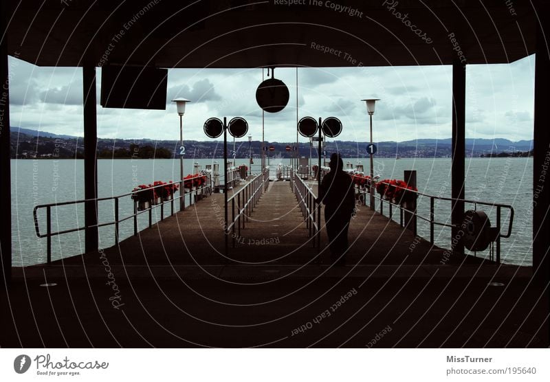 Waiting for the next ship Ausflug Freiheit 1 Mensch Natur Wasser Himmel Wolken Herbst Unwetter Blume Seeufer Zürich See Hafen Öffentlicher Personennahverkehr